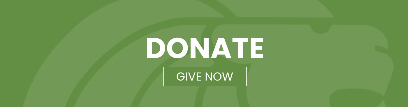 Donate